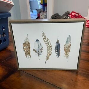 Framed Feather Art Print
